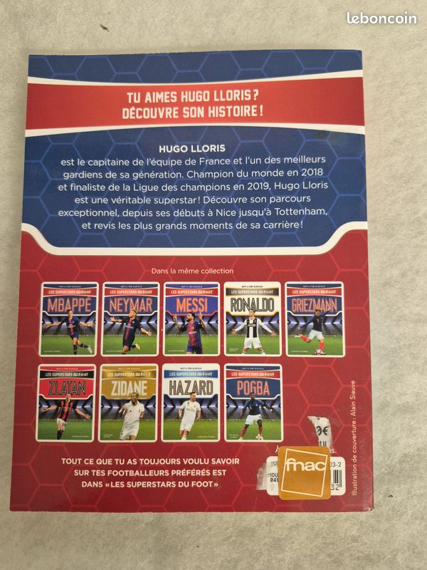Les super stars du foot Hugo Lloris (image 2)