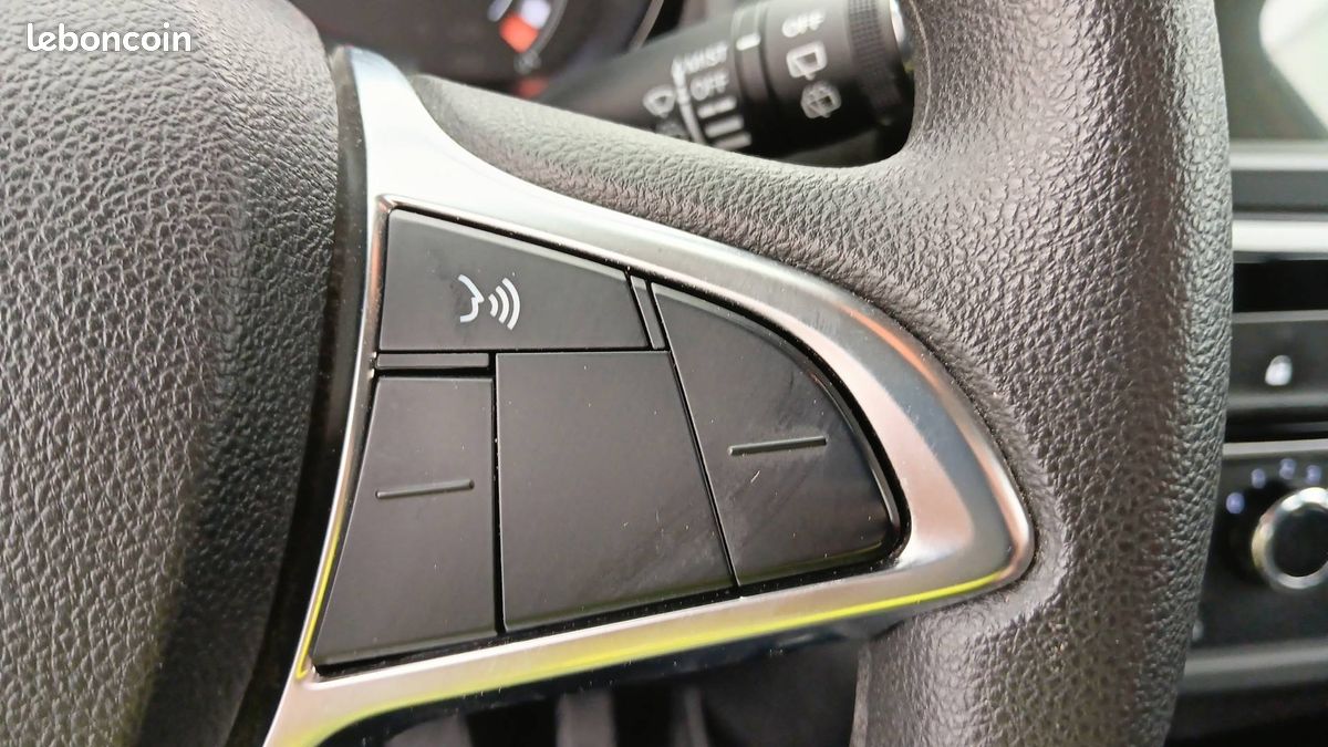Dacia spring expression (image 23)