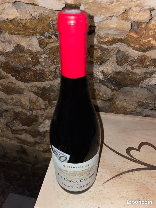 Vin Beaujolais - SAINT-AMOUR - 2022 - DOMAINE DE LA CROIX CARRON (image 3)