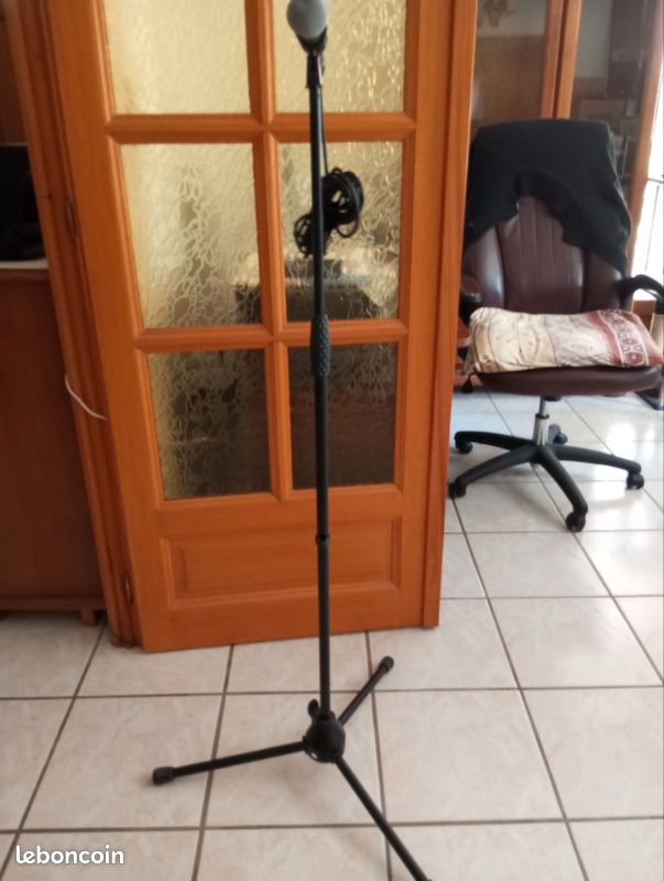 Micro SHURE professionnel (image 2)
