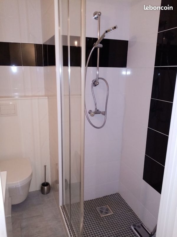 Studio meublé - Limoges 87000 (image principale 2)