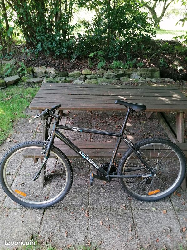 Vends 2 VTT (image 2)