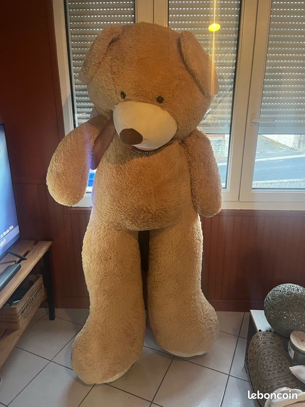 Ours en peluche (image 1)