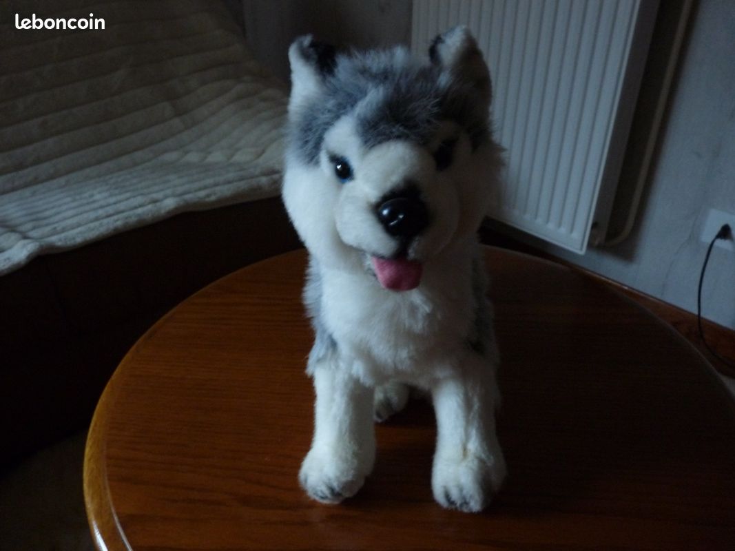 Peluche (image 1)
