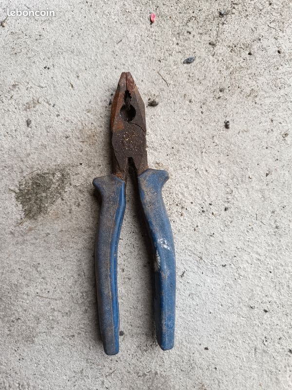 Pince coupante Bost (image 1)