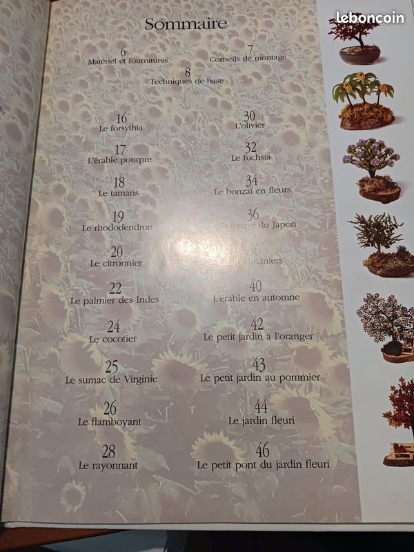 Perles De Rocaille Au Fil Des Saisons - Arbres Et Arbustes, Volume 2 Esther Le Solliec 9782841671755 (image 7)