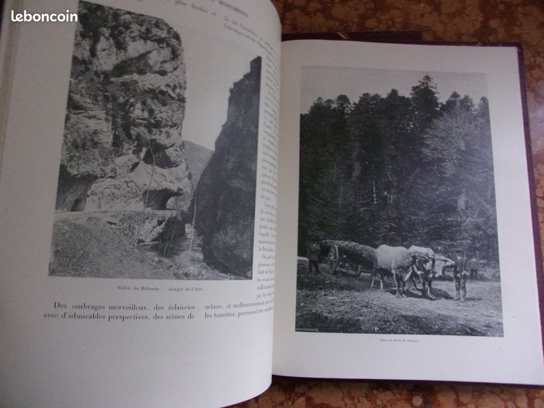 Les Pyrénées, 2 volumes, Touring club de France, 1903 (image 4)