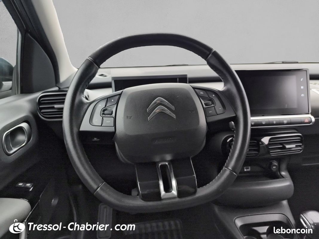 CITROEN C4 Cactus BlueHDi 100 S&S BVM6 Shine (image 11)