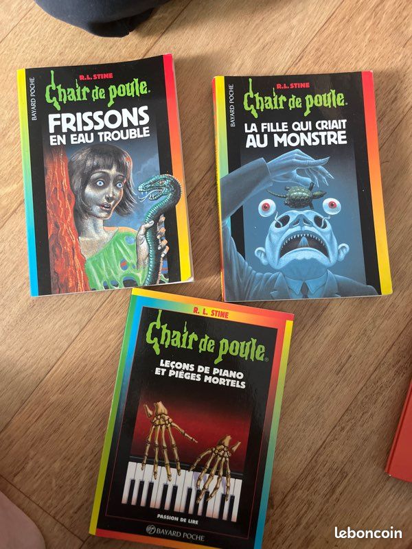 Lot chair de poule (image 1)