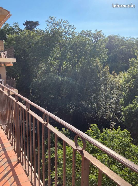 Grand studio Saint Tropez centre (image 5)