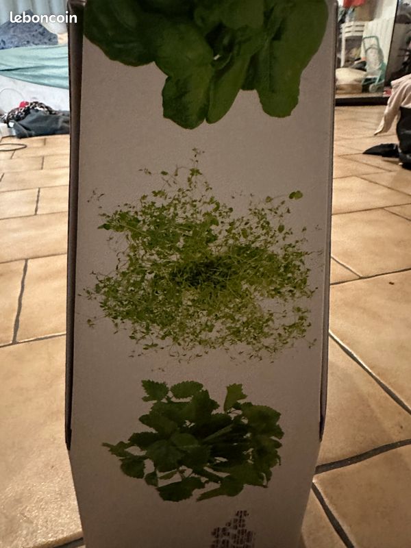 Jardin d'intérieur / Smart Garden (image 5)