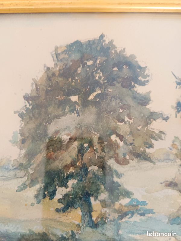 Aquarelle nature (image 3)
