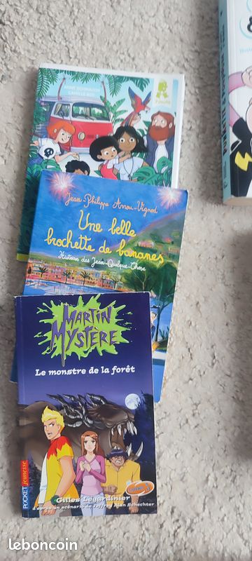 Romans jeunesse facile à lire-Au lot ou à l'unitée (image 2)