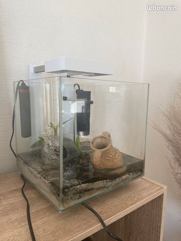 Aquarium (image 2)