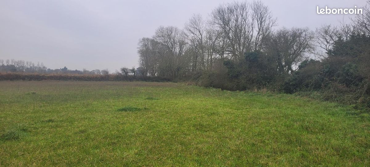 Terrain 426 m² Plouguerneau · 43 000 €
