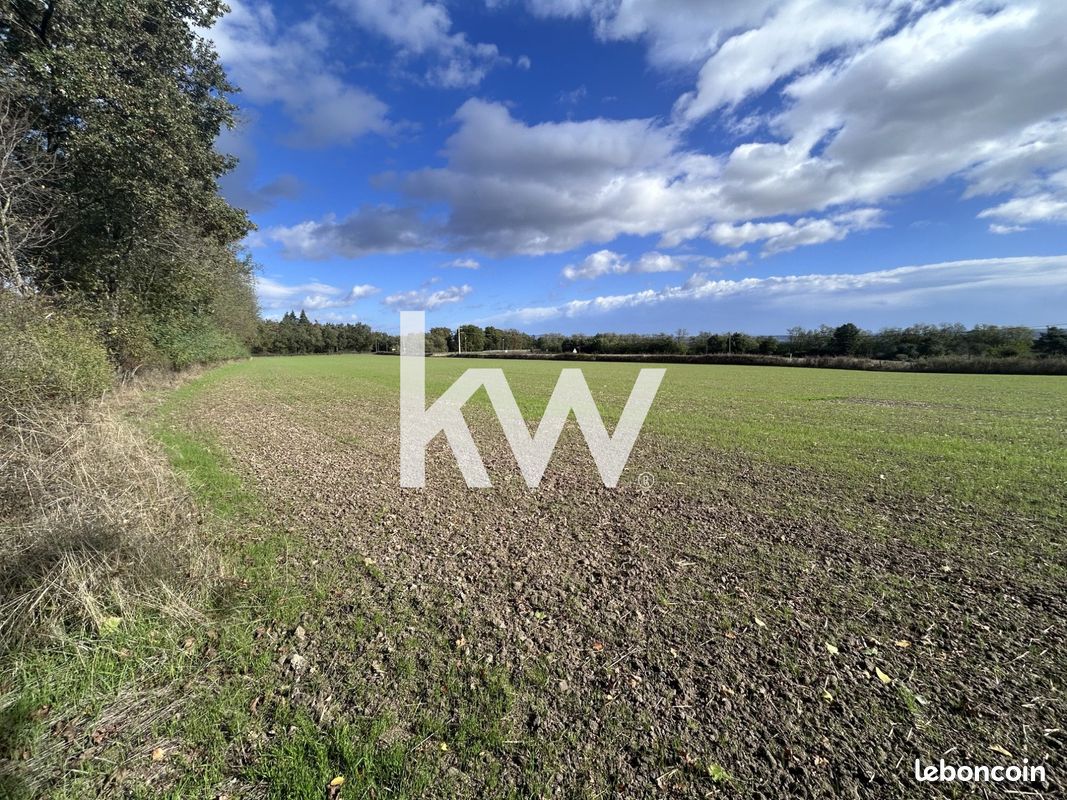 Terrain 9166 m² · à Chambéon · 9 166 m² · 129 000 €