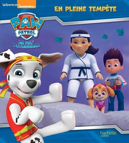 Pat patrouille en pleine tempête (image 1)