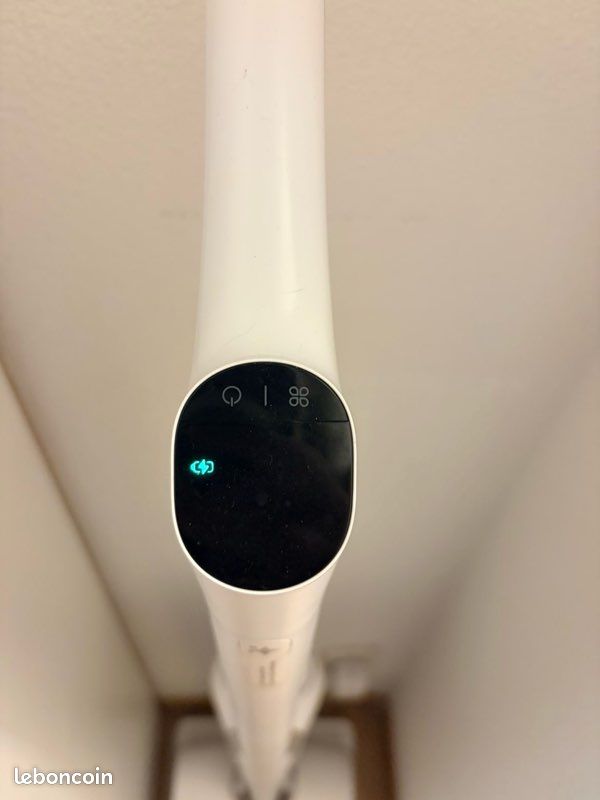 Aspirateur laveur rowenta (image 4)