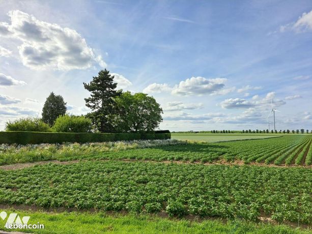 Terrain 1451 m² CANTIN