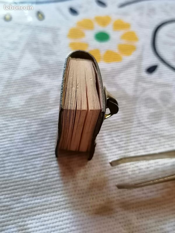 Pin's livre des droits de l'homme (image 4)