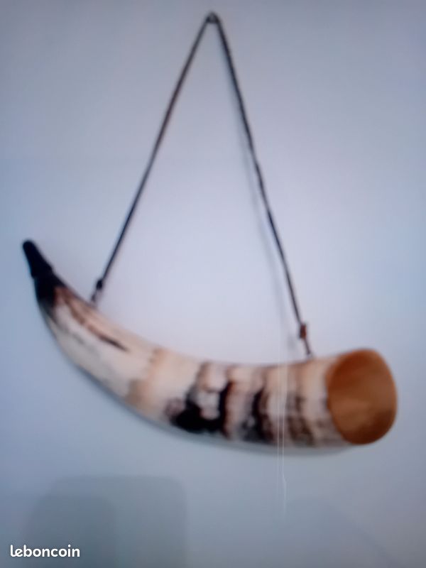 Corne de chasse (image 7)