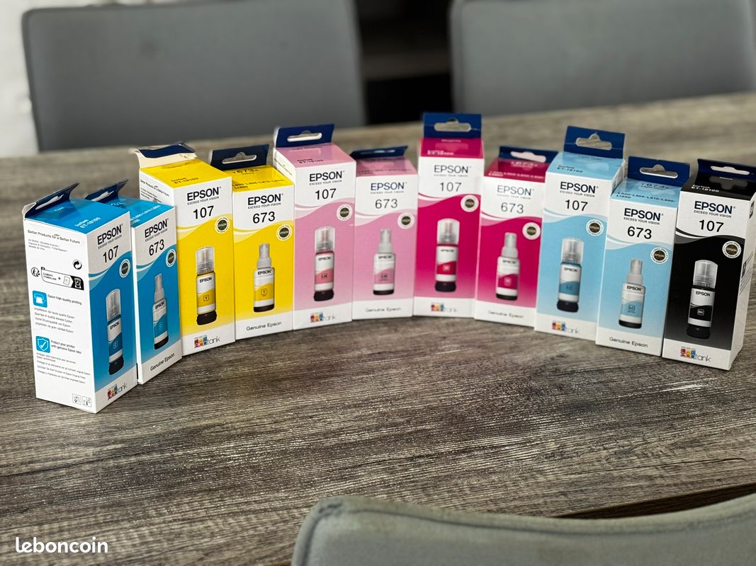 Lot d'Encres Originales EPSON EcoTank (Séries 107 & 673) – NEUF (image 1)