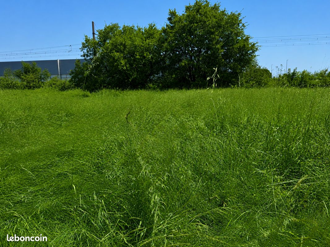Terrain 420 m² · à La Rivière · 420 m² · 73 000 €