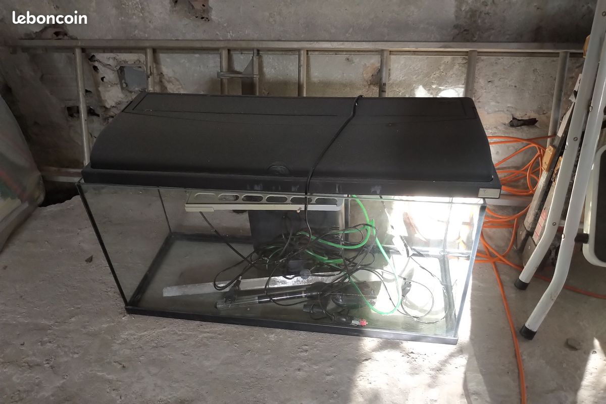 Vente aquarium parfait état (image 1)