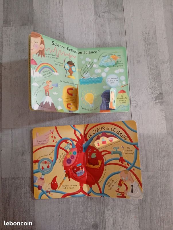 Lot de 2 livres à rabats (image 2)