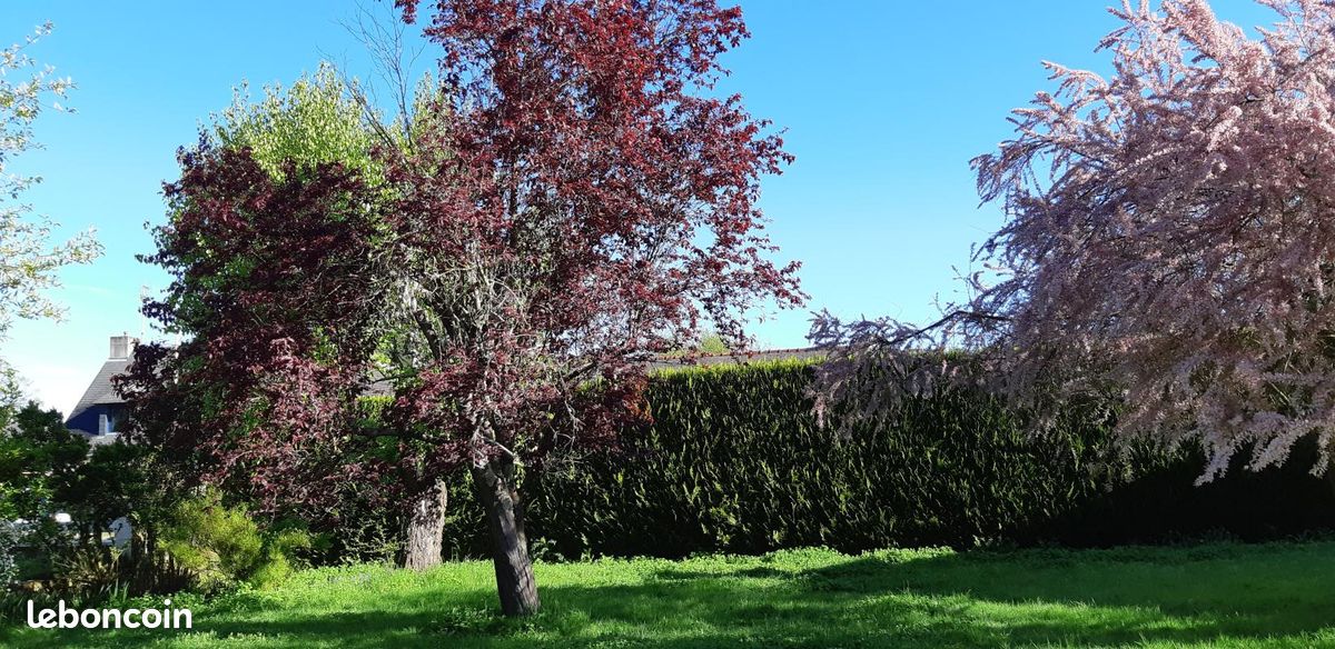 Terrain 250 m² · à Bruz · 125 000 €