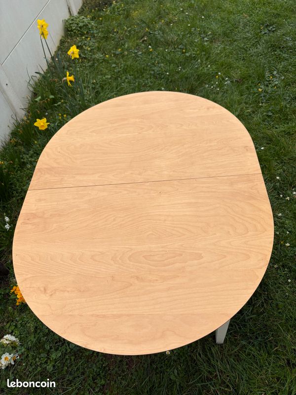 Table +rallonges (image 2)
