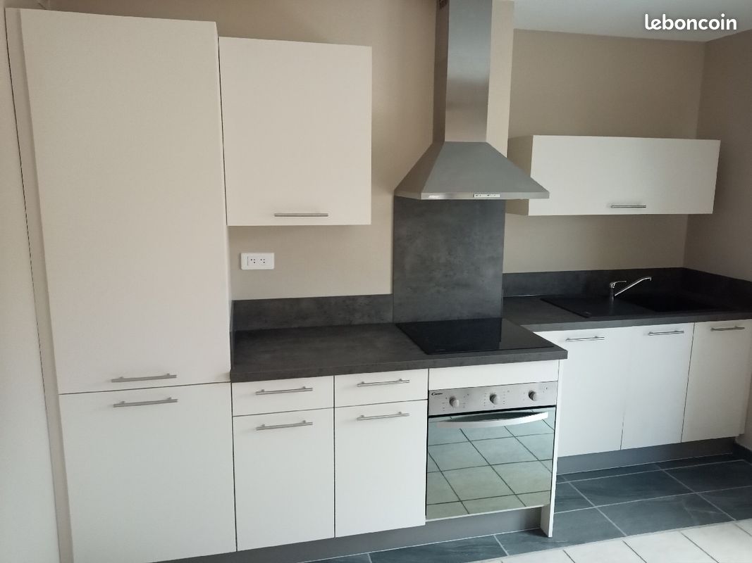 F3 rue François Perrin - Limoges 87000 Vanteaux-CHU-Mas Bouyol-Puy Rodas (image principale 2)