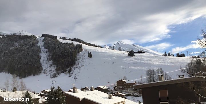 Appartement 2 chambres tout confort - La Clusaz village - dispo du 4 au 11 février (image 9)