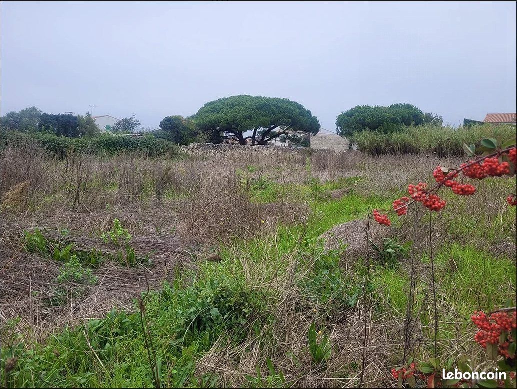 Terrain 1240 m² · à Sainte-Marie-de-Ré · 1 240 m² · 900 000 €