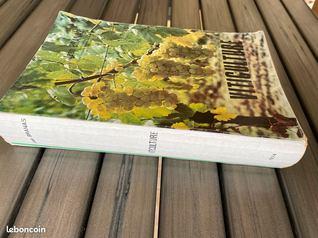 Viticulture de Jean Branas (image 2)