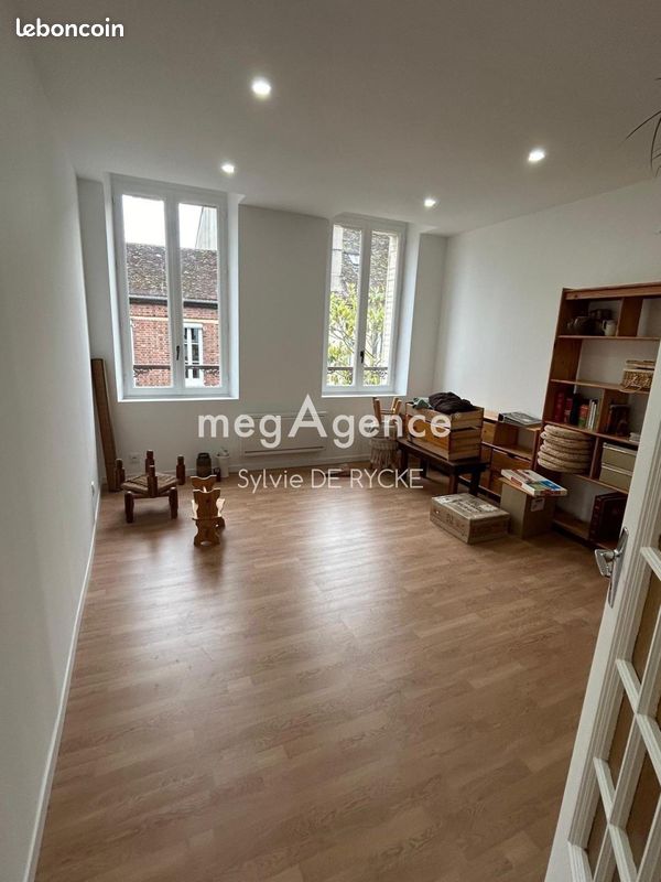 Immeuble 504 m² SENS (image 8)