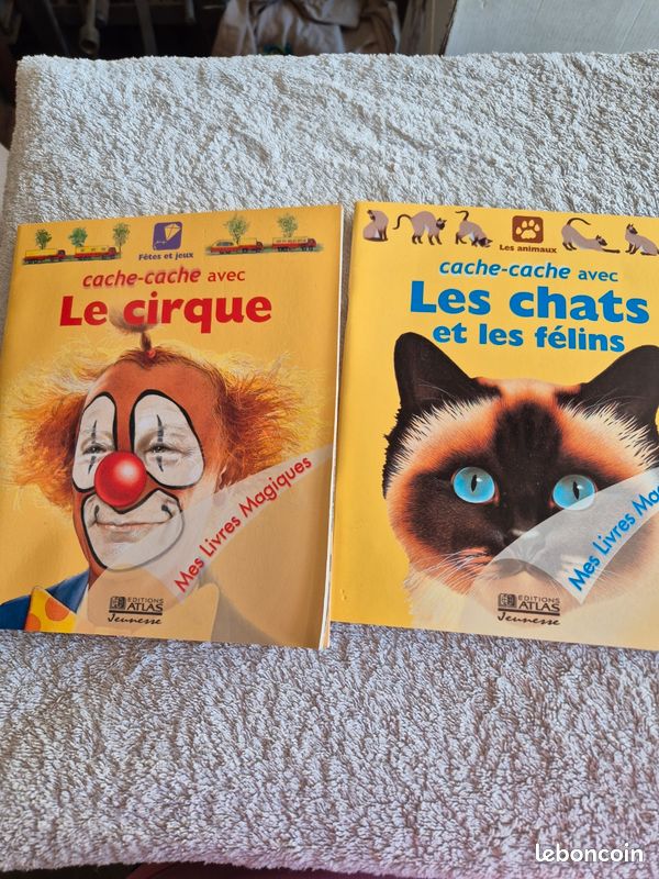 Livre enfant (image 1)