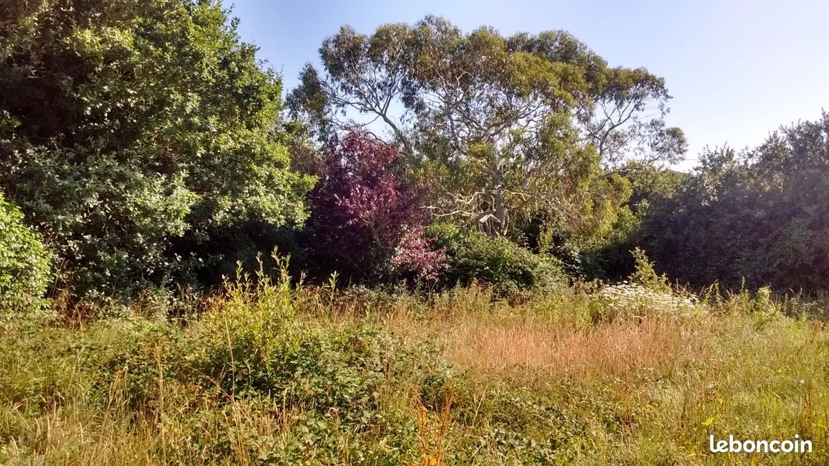 Terrain 756 m² · à Locmaria-Plouzané · 155 000 €