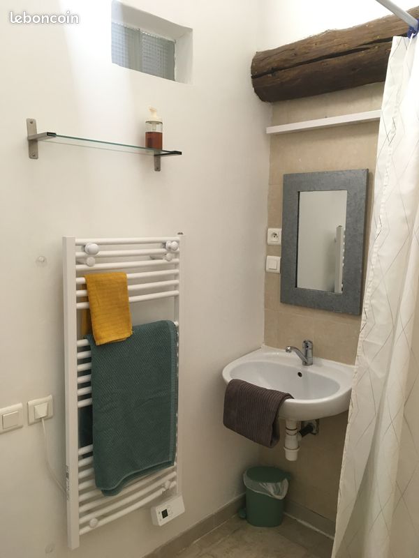 Chambre indépendante, salle de bain, wc, cuisine, jardin (image 9)