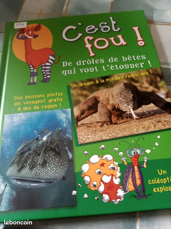 C'est fou (image 2)