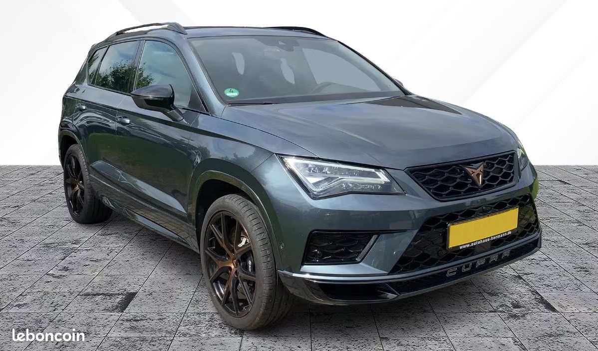 Cupra ateca 2.0 tsi 300 4drive dsg7 (image 5)