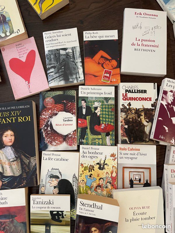 Lot de 60 livres de littérature format poche ou grand format tous auteurs lot ou unité (image 7)