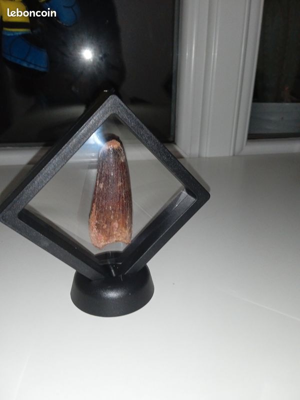 Lot de 3 présentoire 9*9 cm (image 2)