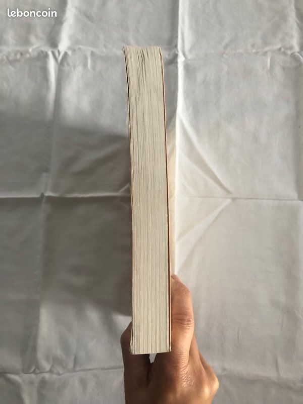 Le Livre de l'Âme (image 4)