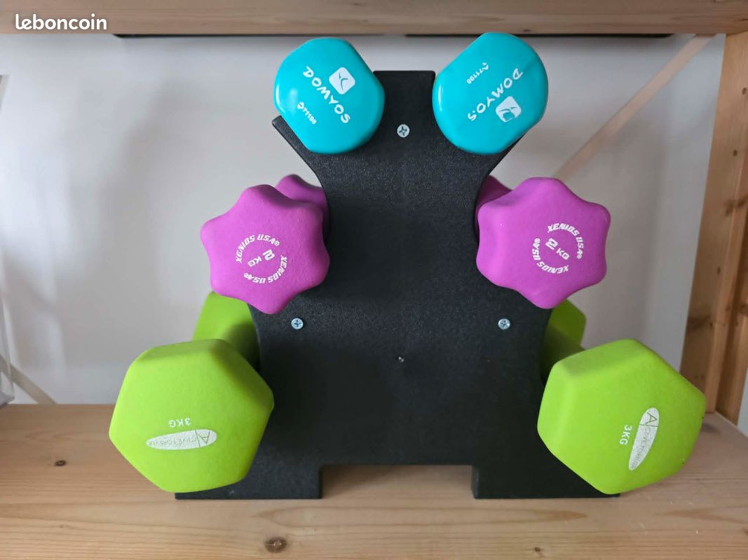 Support Haltères Pyramide – Acier, 250 Kg Max, 20 Haltères, Pour Maison Ou Salle De Sport