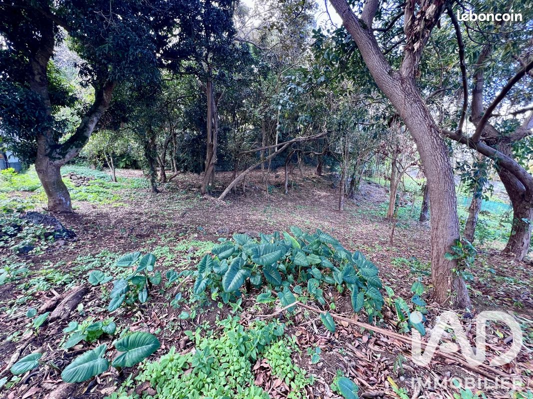 Terrain 438 m² · au Tampon · 438 m² · 145 000 €