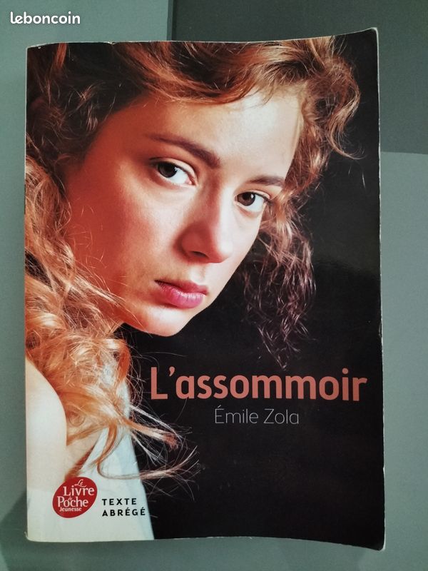 L'assommoir, de Zola, texte abrégé (image 1)