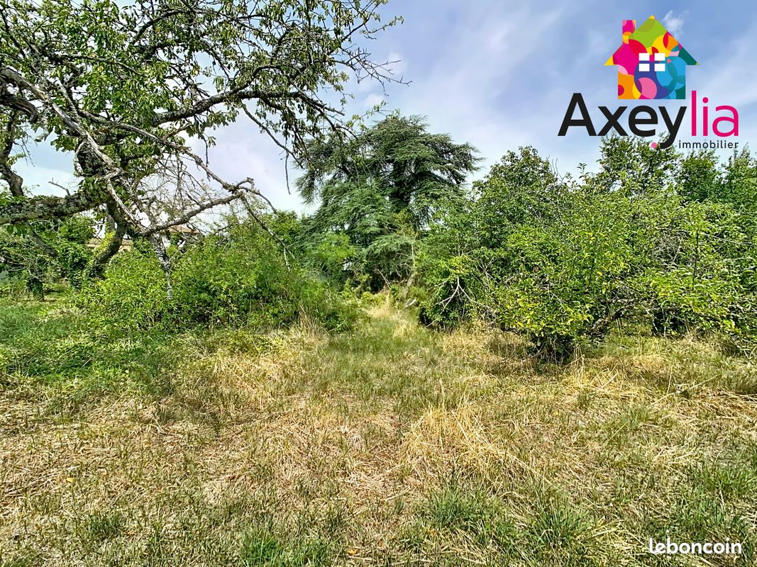 Terrain 805 m² · à Panissières · 805 m² · 43 000 €