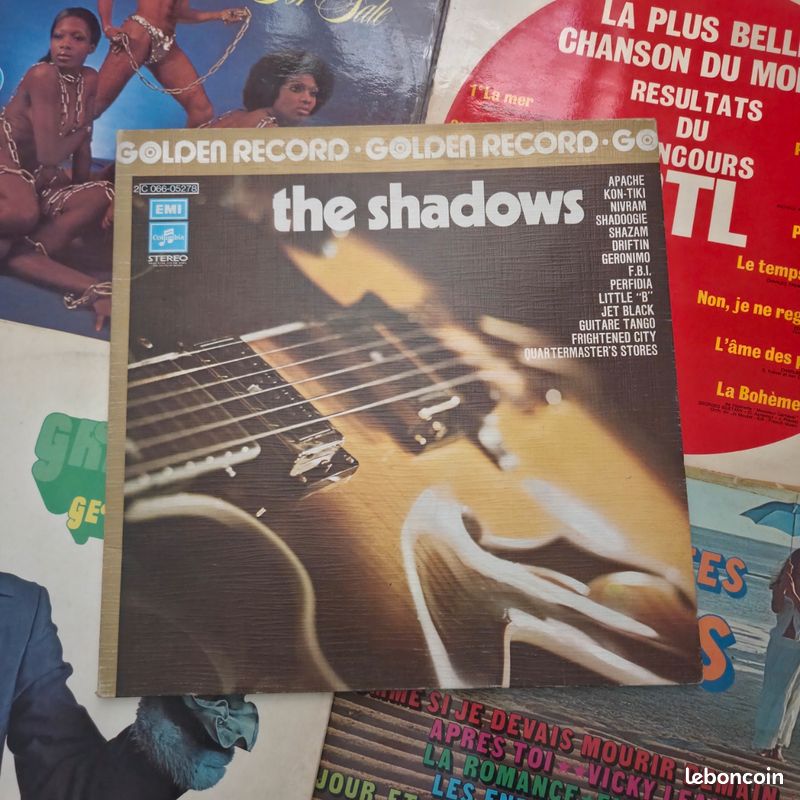 Vinyles 33 tour (image 1)