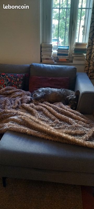 Vends canapé 3 places Sklum (image 4)